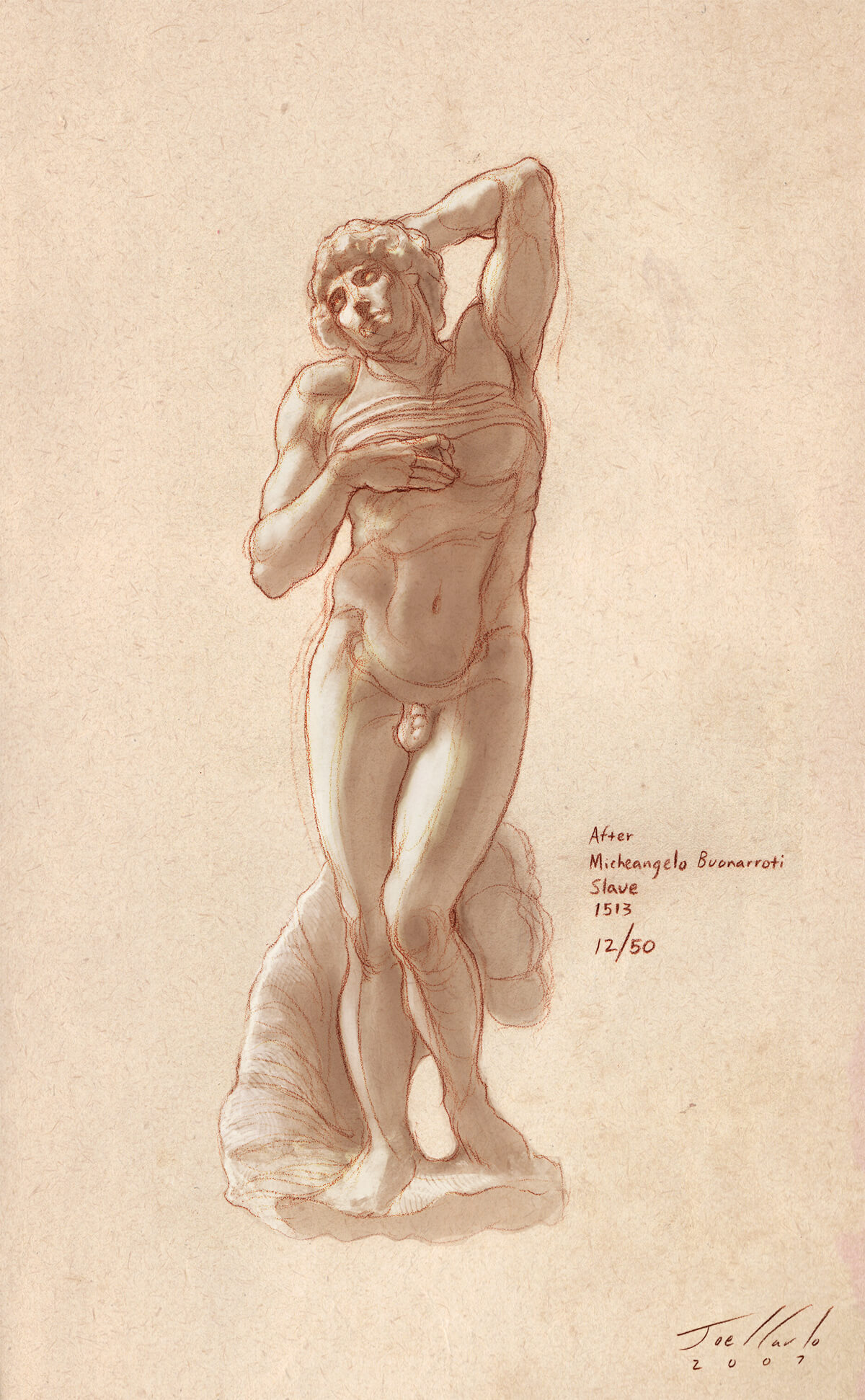 Anatomy Lesson Series Torsos